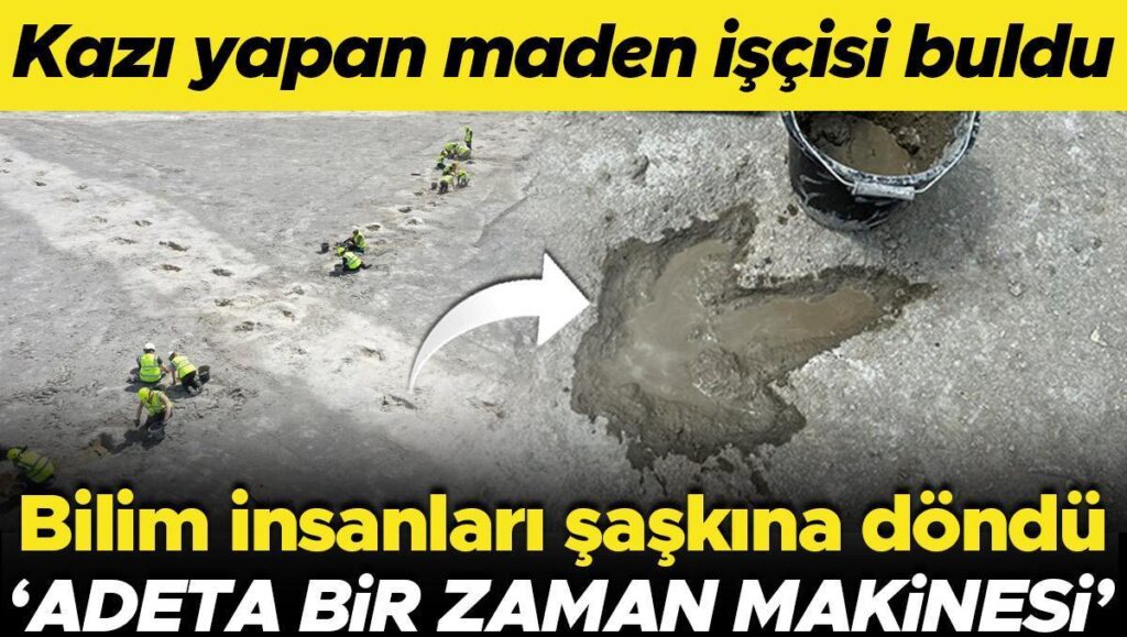 kazi yapan maden iscisi buldu bilim insanlari saskina dondu adeta bir zaman makinesi YePINDem