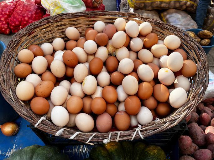 neden daha fazla yumurta yemelisiniz en onemlisi yumurtayi pisirmenin en saglikli yollari neler 8 ZDmKR4Om