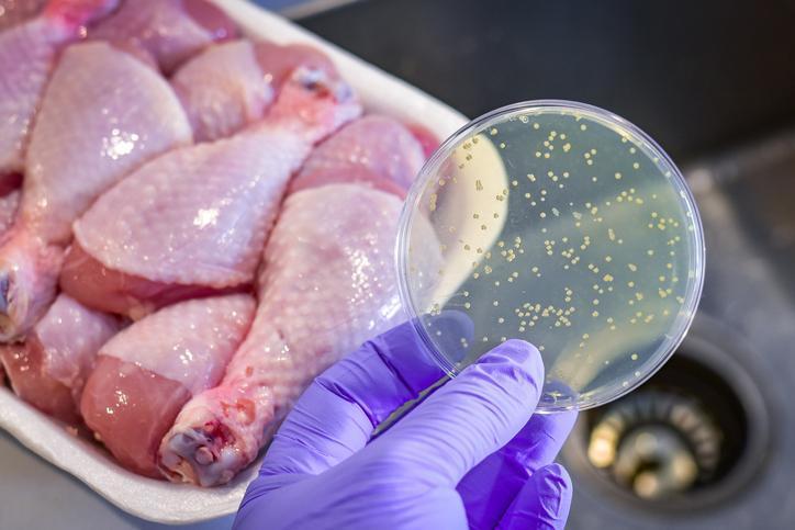 salmonella nedir oldurur mu yedigi kumpirde salmonella tespit edilen kadin hayatini kaybetti 2