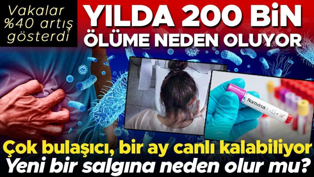 vakalar 40 artis gosterdi norovirus yilda 200 bin olume neden oluyor bir pjlFmUO3