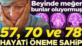 57 70 ve 78e cok dikkat beyin bu yaslarda onemli olcude geriliyor iste yapmaniz 1ClJUGuK