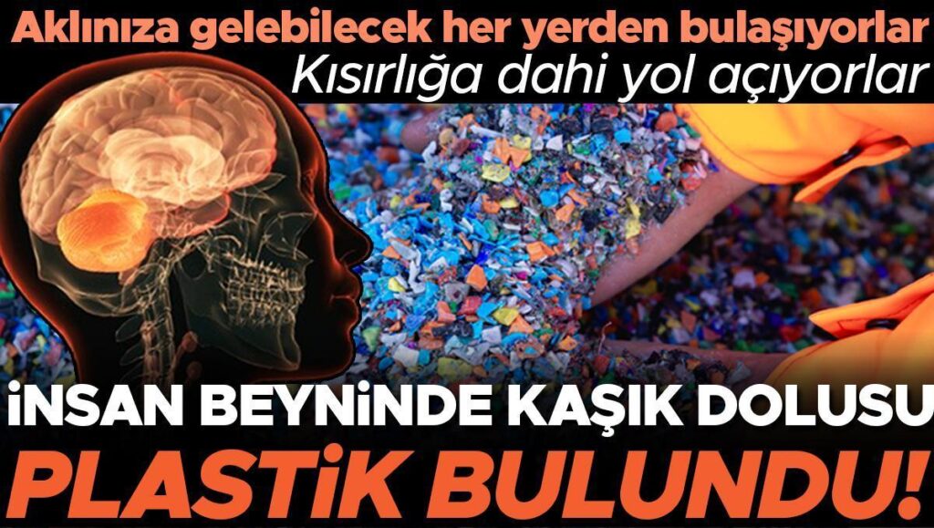 insan beyninde bir kasik dolusu plastik bulundu yemeklerden ve havadan geciyorlar tek tek hucrelerin BnULz7Zi