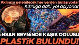 insan beyninde bir kasik dolusu plastik bulundu yemeklerden ve havadan geciyorlar tek tek hucrelerin BnULz7Zi