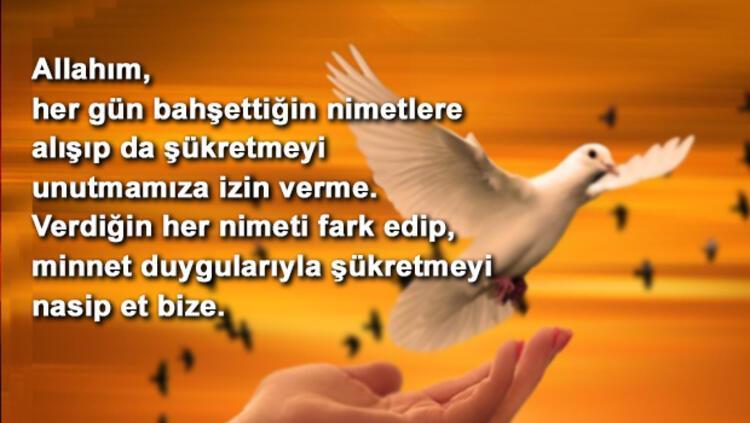 KANDİL MESAJLARI 2025 RESİMLİ - BERAT KANDİLİ MESAJLARI (13 ŞUBAT 2025) | WhatsApp'a özel en güzel, anlamlı, dualı, farklı, yazılı, dini, kısa Berat Kandili mesajları ile sözlerini tercih edin: Sevdikleriniz için Hayırlı Kandiller sözleri! 9 kandil mesajlari 2025 resimli berat kandili mesajlari 13 subat 2025 whatsappa ozel kHqzTvBO