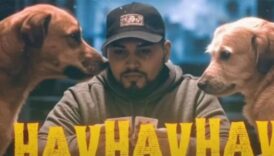 rapci lvbel c5in havhavhav adli sarkisi sikayet ettiler AIGGlV9y