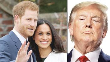 trump harrynin yeterince sorunu var diye dalga gecti simdilik sinir disi yok sV1U8ZjK
