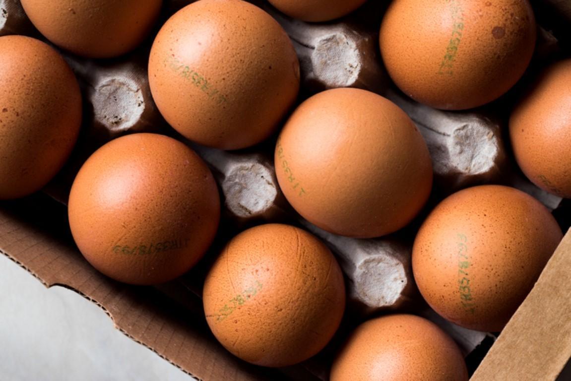 Yumurtanın bir faydası daha ortaya çıktı! Hafızayı güçlendiriyor, Alzheimer’a karşı doğal kalkan oluyor 3 yumurtanin bir faydasi daha ortaya cikti hafizayi guclendiriyor alzheimera karsi dogal kalkan oluyor 2 XUAVkAZZ