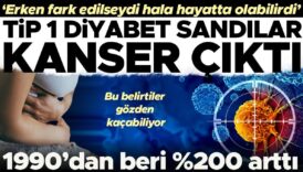 diyabet sandilar pankreas kanserinden hayatini kaybetti karin agrisi hazimsizlik siskinlik kanserin habercisi olabilir UXfOaF9i