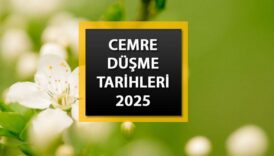 ilk cemre havaya dustu mu ne zaman dusuyor 2025 1 2 ve 3 cemre Dvqdik8B