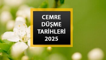 ilk cemre havaya dustu mu ne zaman dusuyor 2025 1 2 ve 3 cemre Dvqdik8B
