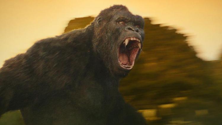Kong: Kafatası Adası filminin konusu nedir, oyuncuları kimler? 2 kong kafatasi adasi filminin konusu nedir oyunculari kimler 1 5zdJ6T8h