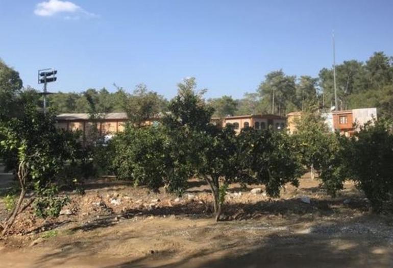 Köyceğiz'de inzivaya çekilmedim! Mühendislikten oyunculuğa... 3 koycegizde inzivaya cekilmedim muhendislikten oyunculuga 2 n98lV6tf