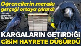 ogrencilerin meraki gercegi ortaya cikardi kargalarin getirdigi cisim hayrete dusurdu sira disi bir durum bEAGkByO