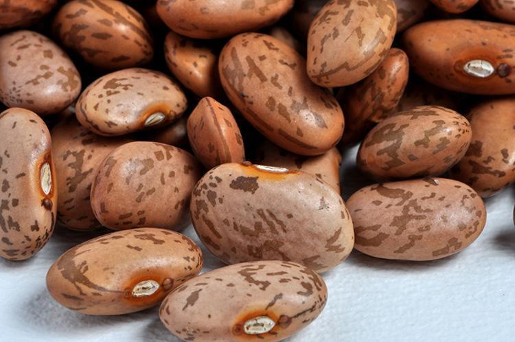 Uzmanlar faydalarını anlata anlata bitiremiyor... Hepsinin kalorisi, proteini, lif içeriği farklı... Hangi fasulye daha sağlıklı? 5 uzmanlar faydalarini anlata anlata bitiremiyor hepsinin kalorisi proteini lif icerigi farkli hangi fasulye daha