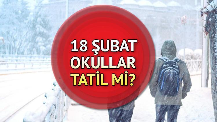 Yarın okullar tatil mi, hangi illerde kar tatili oldu? 18 Şubat Salı okullar tatil mi 2025? 1 yarin okullar tatil mi hangi illerde kar tatili oldu 18 subat sali okullar tatil nYz1nLcv