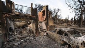 los angeles belediye baskani itfaiye sefini gorevden aldi ZJk4CtsX